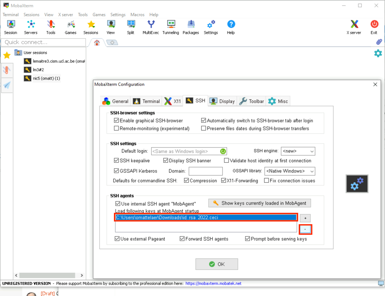 mobaxterm-update-agent-3.png