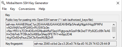 mobaxterm_fingerprint
