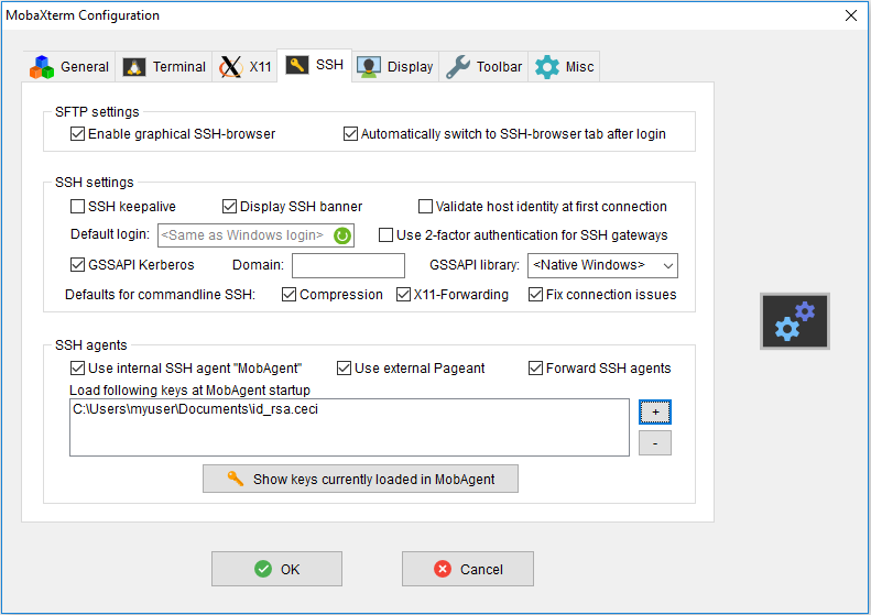 mobaxterm_ssh_agent