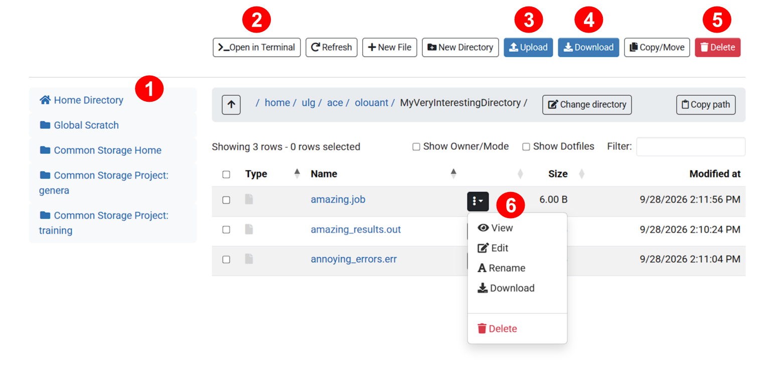 File Browser showing the content of a directory