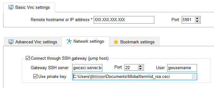 mobaxterm_vnc_session